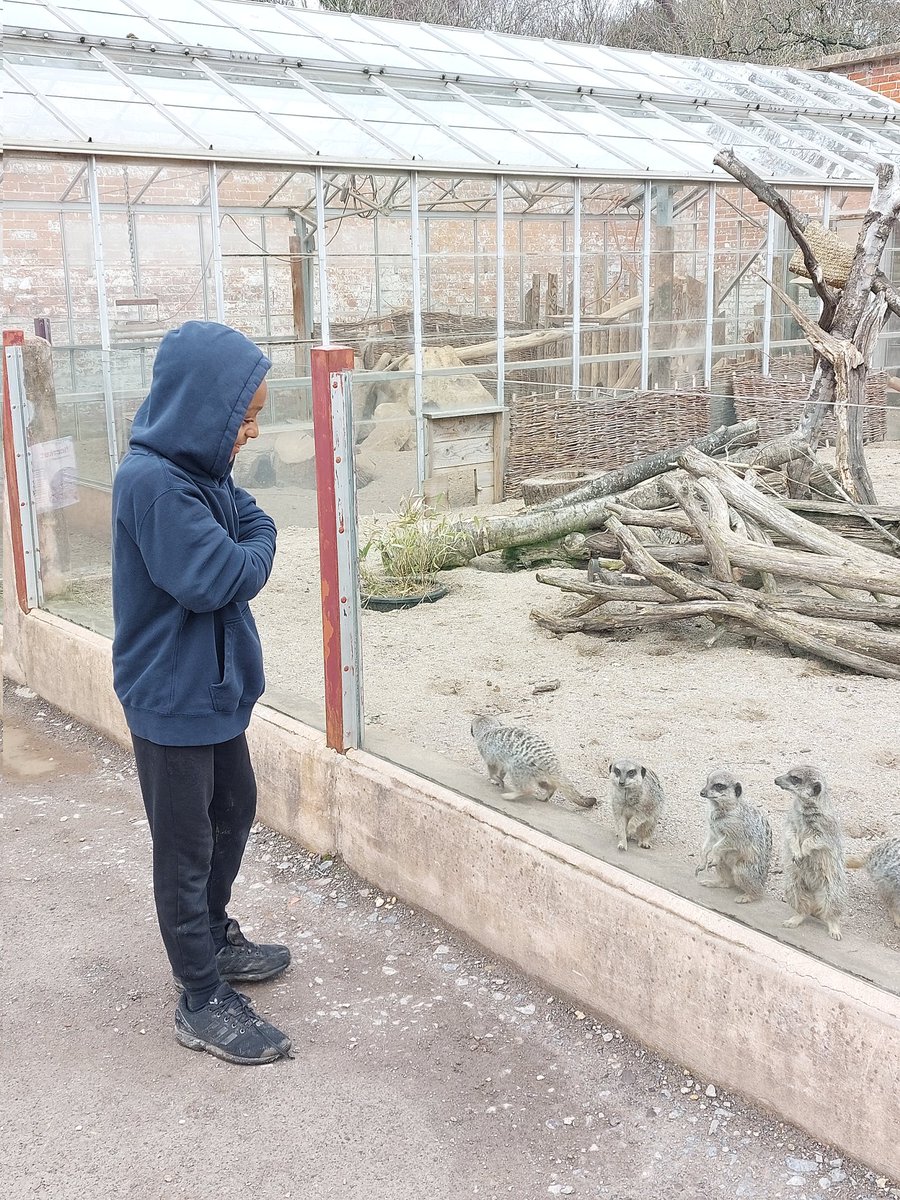 EastonLEAP's tweet photo. We had a great day at the Wild Place today! We saw lots of different animals and learnt a lot about them! @LearnatMAT https://t.co/lzm18jBg1B