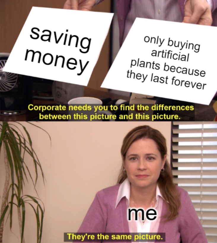 It doesn't count as spending money if it's on artificial plants, right? 😜

Shop artificial plants directly on our website - loom.ly/E6tk6oc

#meme #artificialplants #plants