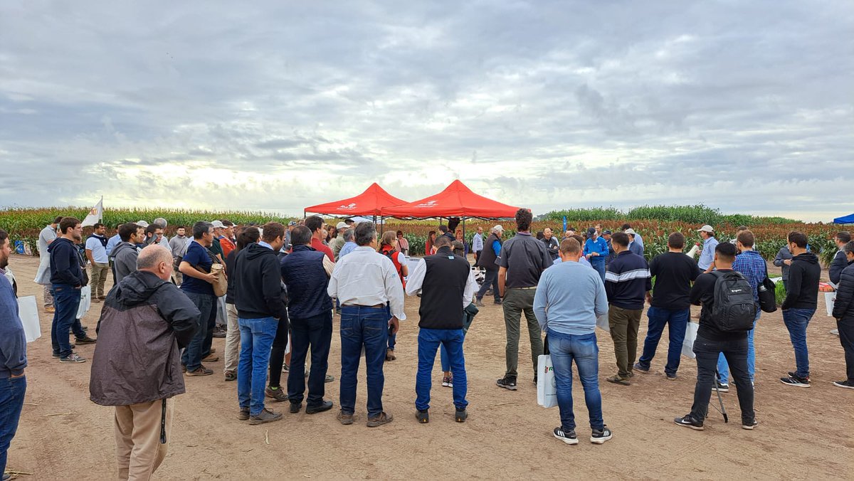 Ayer estuvimos presentes en #ExpoRAGT repasando todos los aspectos a considerar a la hora de evaluar el Impacto económico del Control de pulgón amarillo en el cultivo de Sorgo.. 
Gracias <a href="/ragtsemillas_ar/">𝗥𝗔𝗚𝗧 𝗦𝗲𝗺𝗶𝗹𝗹𝗮𝘀</a> por la invitacion! 🤝