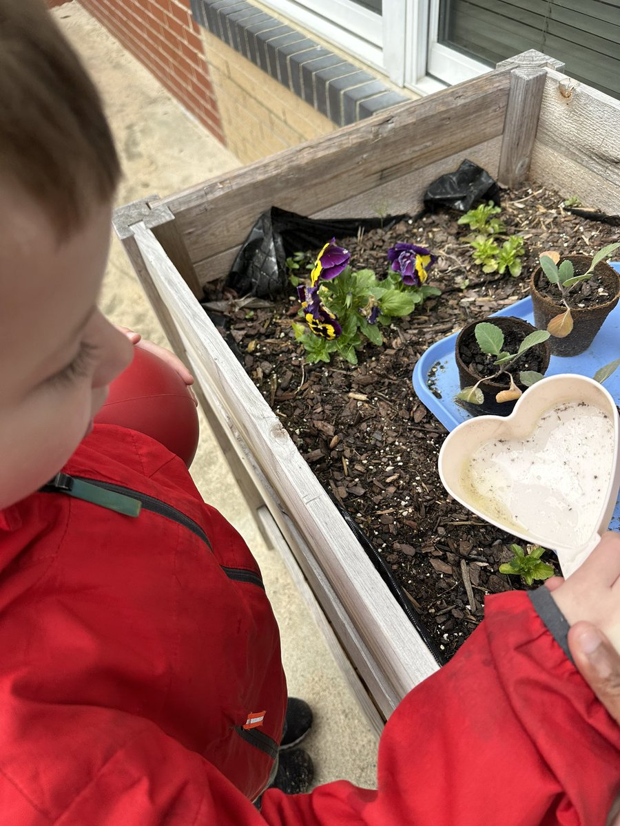 LHEStructuredPK's tweet photo. We were able to collect some rain water last night… not quite as much as we were hoping for. We did use it to water our flowers 🌸💧🌧️♻️ @LHECMES #OnThePrekPlayground #RainCollection #LHECMES https://t.co/fDQ7FToqmj