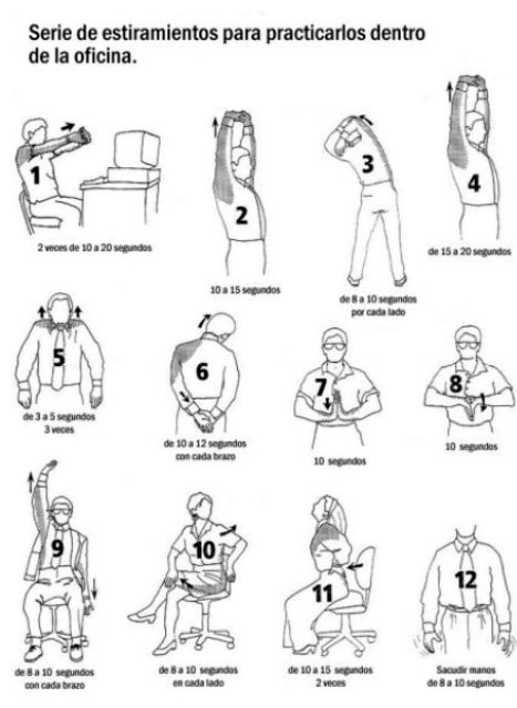 Fisiovisan's tweet photo. Estiramientos en la oficina
#trabajo #teletrabajo #estiramientos #dolor #Fisioterapia https://t.co/YGyfpxeEfo