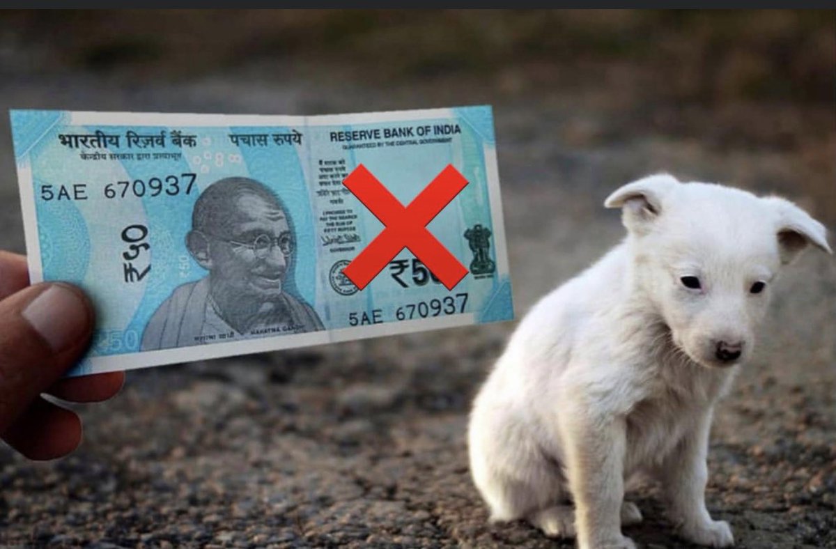 Daljeet_Sahi_1's tweet photo. Amend PCA, no more 50. They are sentient too, they too deserve freedom just like us. Let's be the voice of the voiceless. #NoMore50 #AmendPCA https://t.co/KTmeljmge1