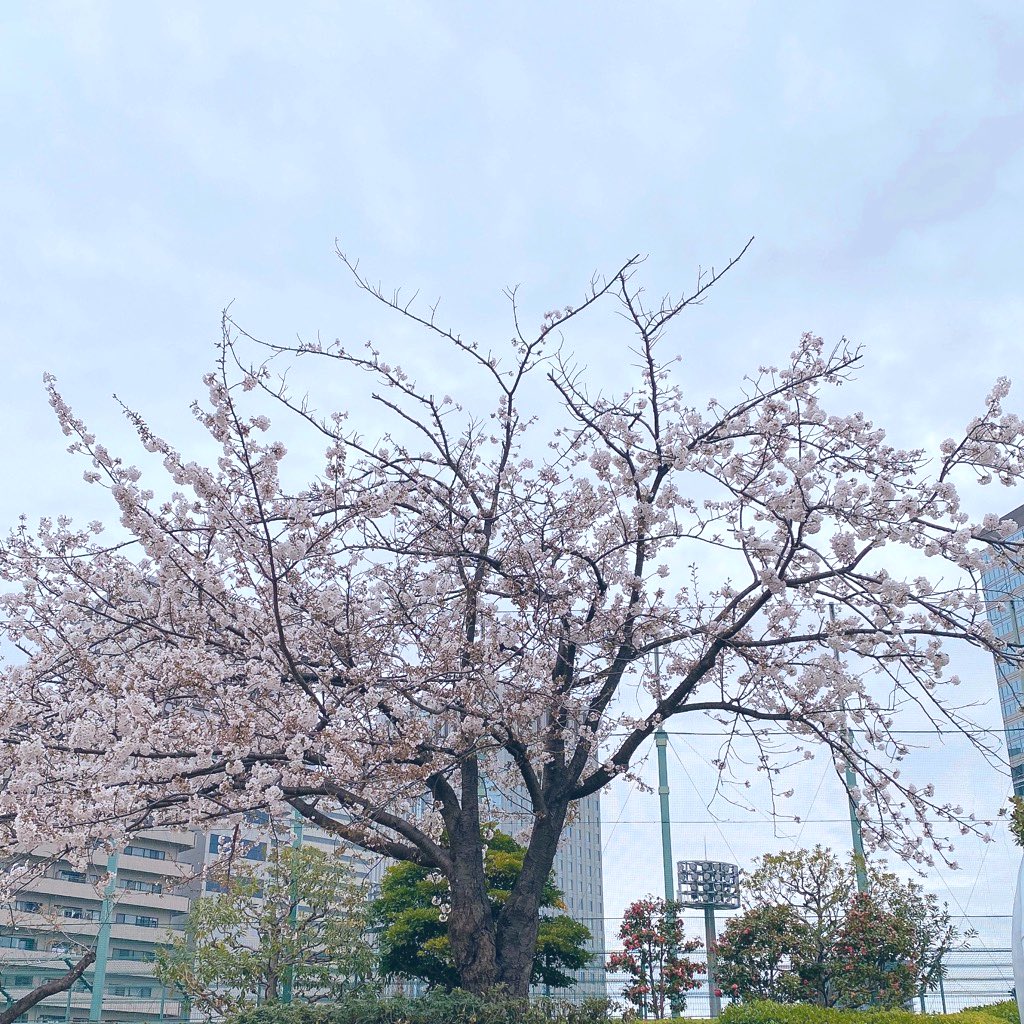 藤田彩 (@fujita_aya) / Posts / X