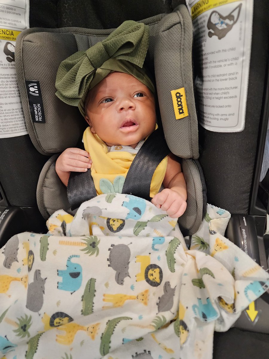 Coach Alexander Black tweet media