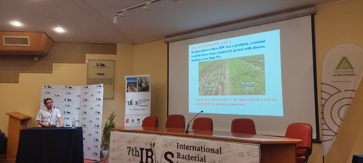 7IBWS2023 tweet media