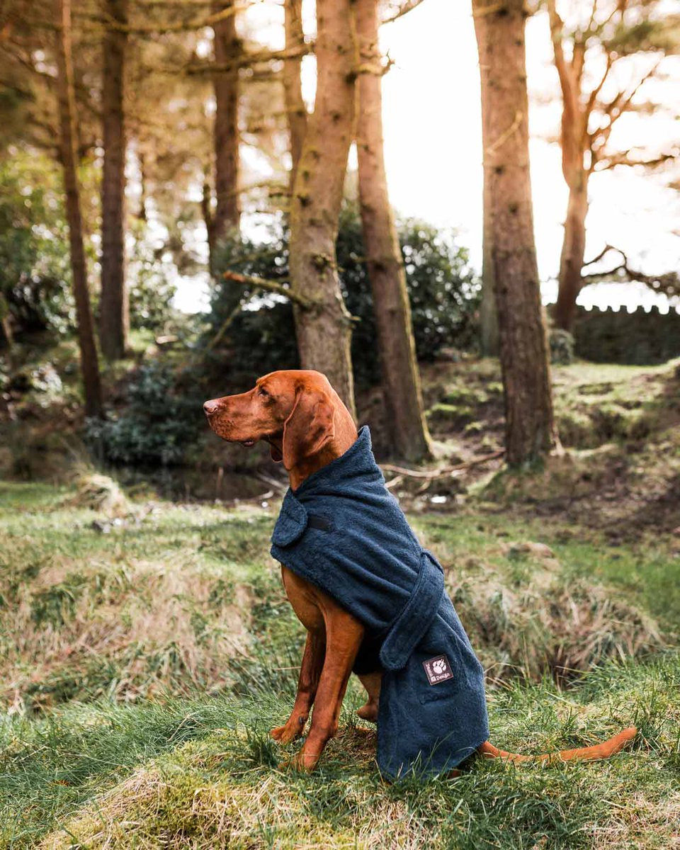 stylishdog's tweet photo. Made from luxurious cotton towelling, the Dog Robe is the ultimate drying coat and is perfect for after wet and muddy walks or after bathtime, avoiding wet shake off! Keeps dogs warm and dry. #doggown #dogbath #dogaccessories #dogcoats #stylishdog

https://t.co/94buTXj134 https://t.co/oYai0smIDg