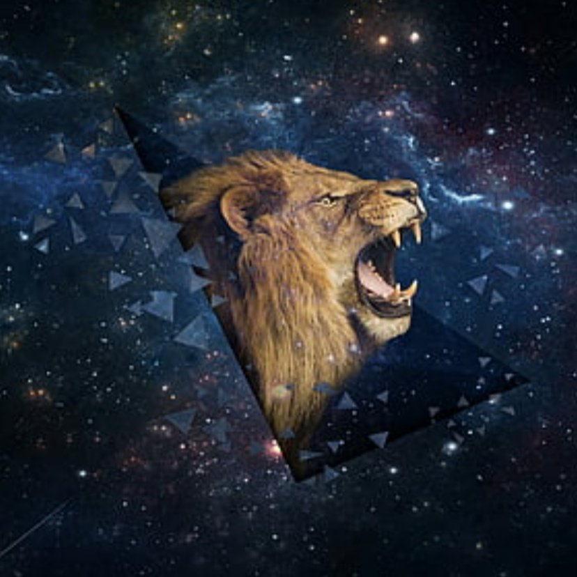 ServerCrazy's tweet image. #NewProfilePic