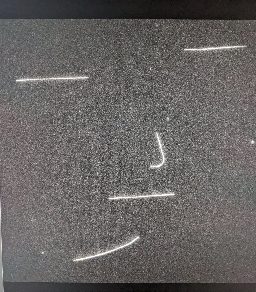 My microtubules are unamused...