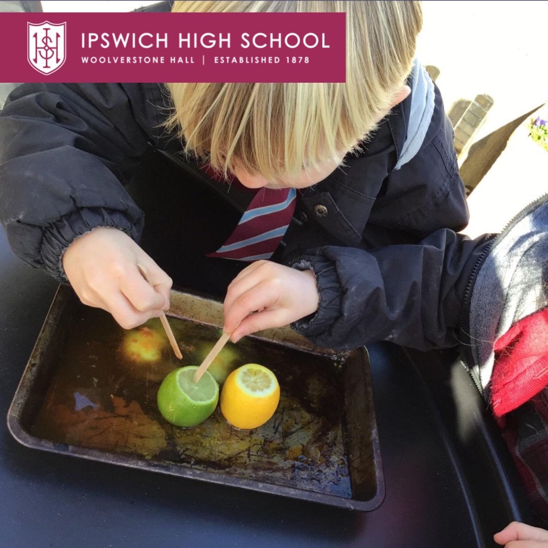 IpswichHigh's tweet photo. As part of Science Week, Woolverstone Hall Nursery completed the lemon volcano experiment. They learnt that lemon and lime juice contains citric acid which when mixed with baking soda reacts. This causes the liquid to fizz and bubble! https://t.co/QF6BjWT62O