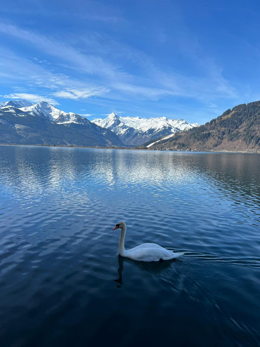 iFIT Cluster of Excellence Universitätsklinikum Tübingen