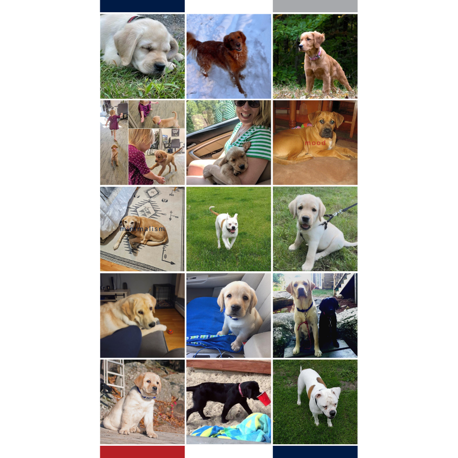 keslarinsurance's tweet image. Team Keslar Puppies for National Puppy day. Seriously, how cute? And we all know that people who love dogs are some of the best humans on earth. If our team is any indication, that's absolutely true. #Lovewhereyouwork #wehavethebestteam #keslarinsurance #nationalpuppyday