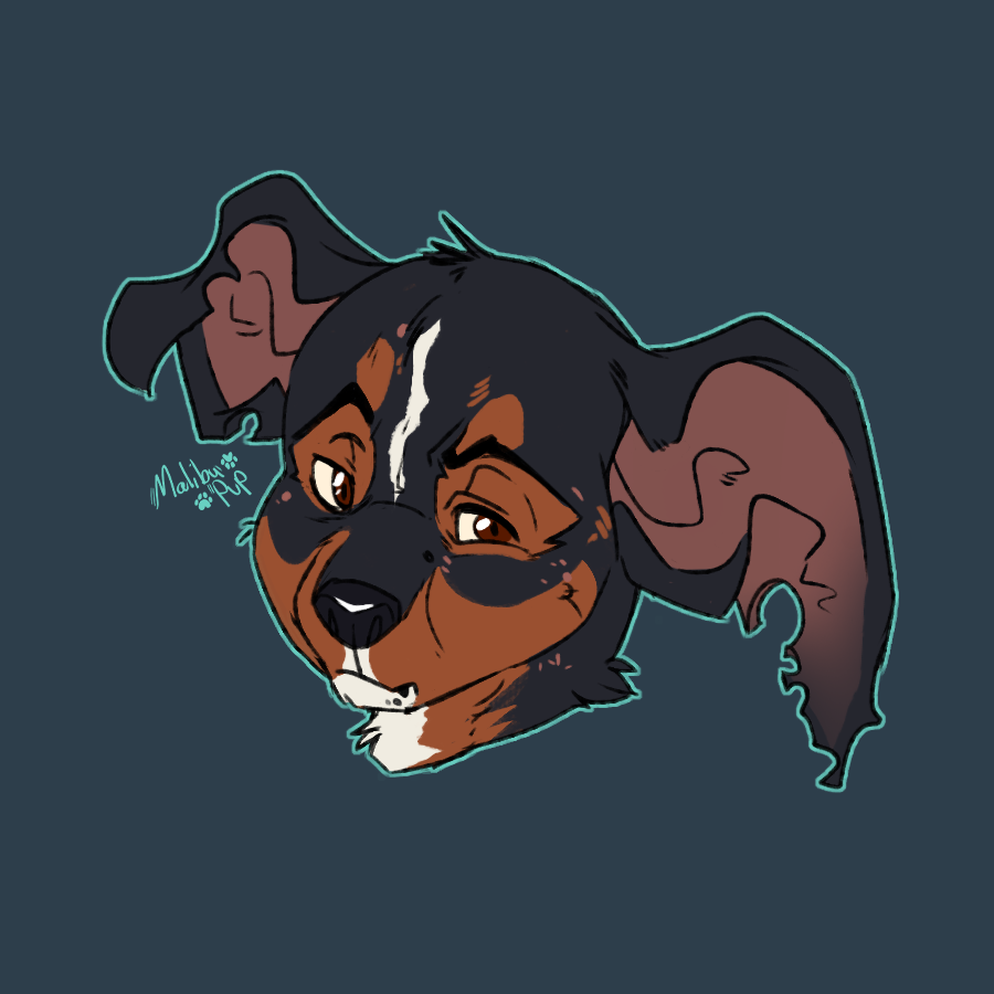 A Stray Mutt (@Maduromutt) / Posts / X