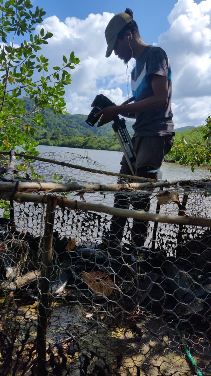 KeeFarmsHQ's tweet photo. At Kee Farms we take a lot of pictures and videos. We document every process extensively as we want to create a playbook on how to set up a low tech ocean farm so others can replicate it in their country. #Sustainability #oceanfarm #seaweed https://t.co/lKdrA69U4b