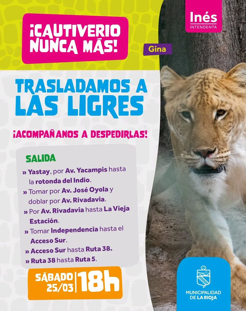 Ciudad_TVLR's tweet photo. 🟤Acompáñanos a liberar a las ligres, éste sábado 25 desde las 18 hs. 

#Cautiverionuncamás https://t.co/fzXACj9Tby