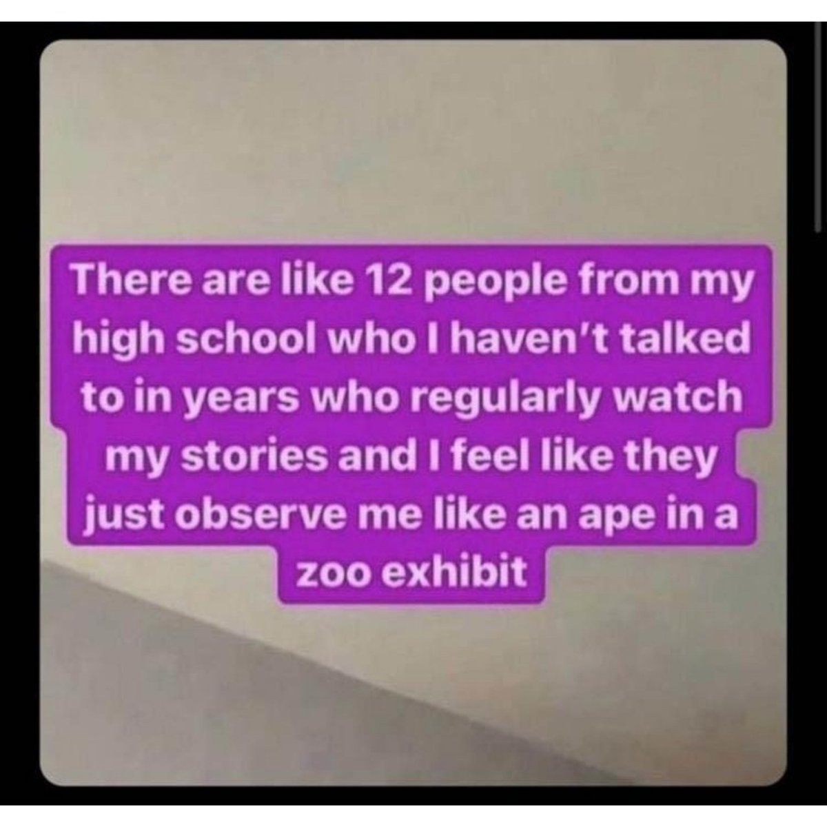 Loudmouth42069's tweet image. #hs #highschool #mystories #mystory #stories #story #zooexhibit #meme #memes