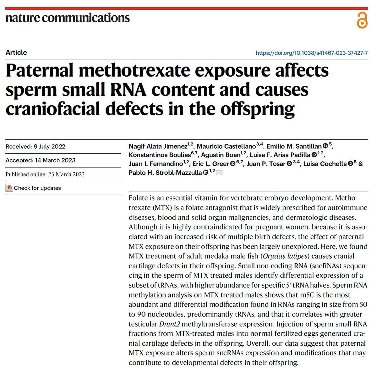 PstroblM's tweet photo. I am delighted to announce that "havemus paper"🥳🥳! After a long journey, our paper, "Paternal methotrexate exposure affects sperm small RNA content and causes craniofacial defects in the offspring", has been accepted in @NatureComms. https://t.co/eVnbdOu9nf https://t.co/i4lFKEzBQc