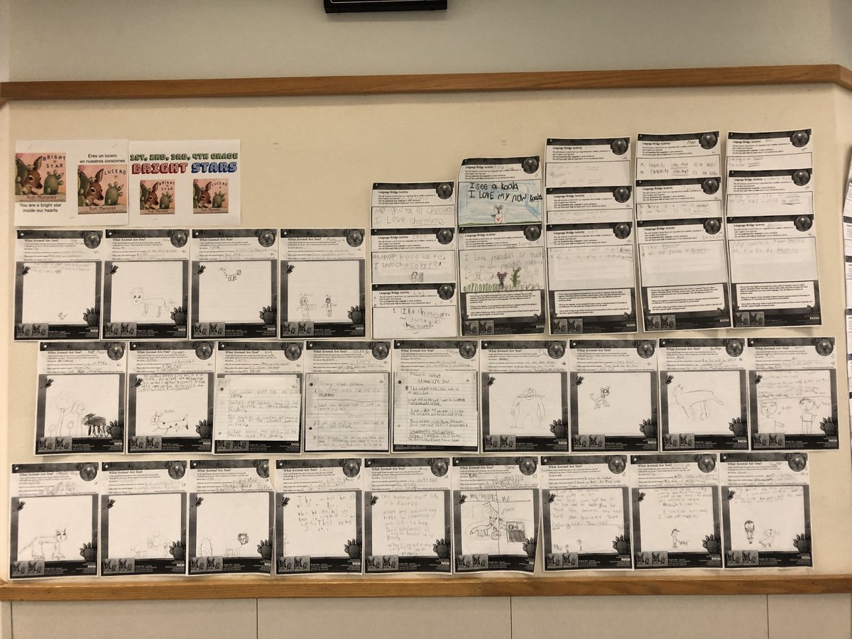 PophamLibrary's tweet photo. @DVISD_PES Pandas have been hard at work responding to our districtwide Elementary One School, One Book titled Bright Star by Yuyi Morales. 
Great work, Pandas! 
#WeArePopham
#PandasRead
#DVProud https://t.co/8aUX77D96b