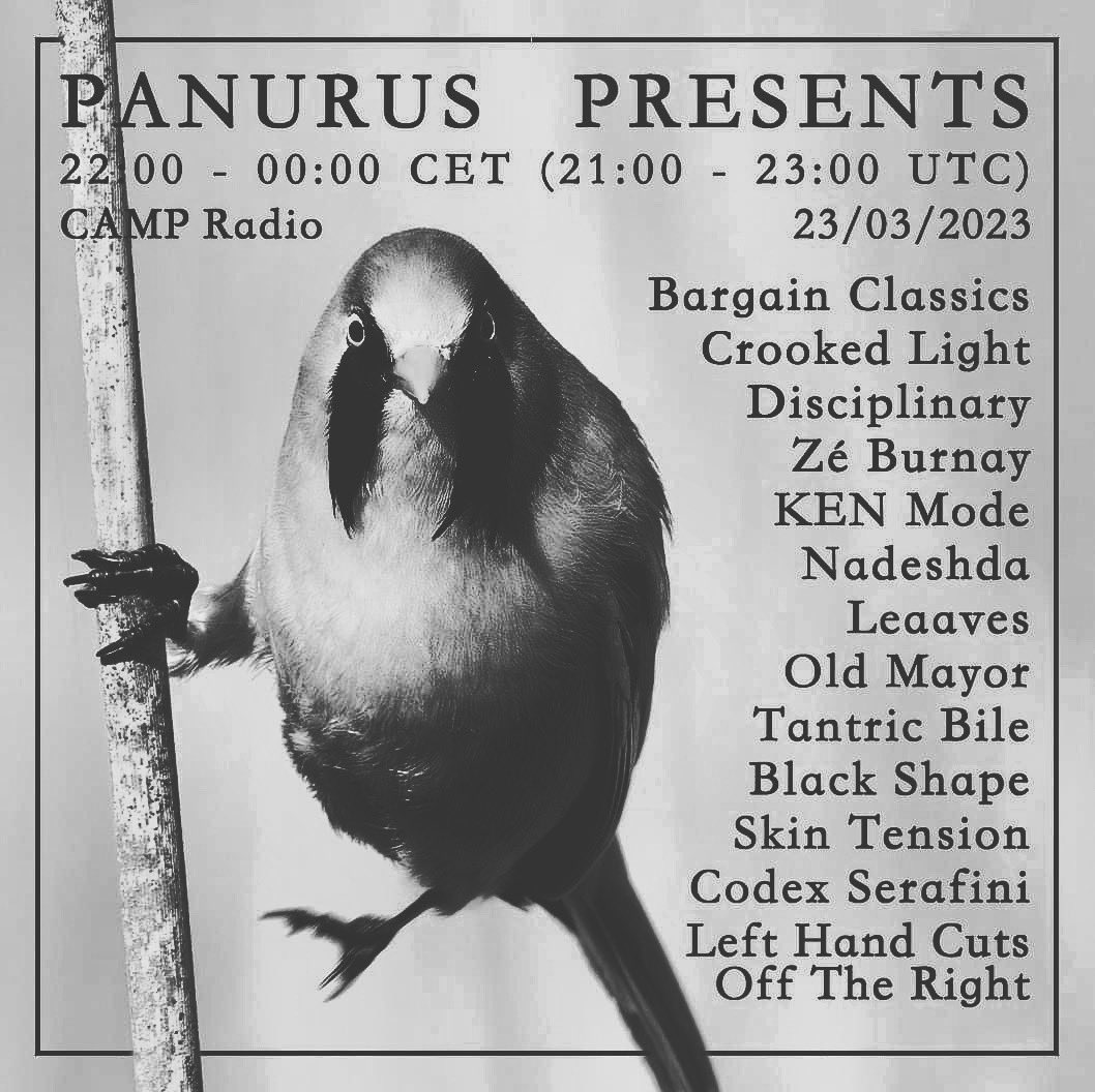 Disciplinary (@xdisciplinaryx) on Twitter photo WEVE GOT TWO TRACKS ON THIS SEXY OL’ SHOW TONIGHT WITH SOME ABSOLUTE DREAMBOATS
@PanurusProds <a href="/CruelNature/">Cruel Nature</a>
<a href="/listen_camp/">CAMP Radio</a> #noisepunk #noise #punk #hardcore #fuckthetories WEVE GOT TWO TRACKS ON THIS SEXY OL’ SHOW TONIGHT WITH SOME ABSOLUTE DREAMBOATS
@PanurusProds <a href="/CruelNature/">Cruel Nature</a>
<a href="/listen_camp/">CAMP Radio</a> #noisepunk #noise #punk #hardcore #fuckthetories