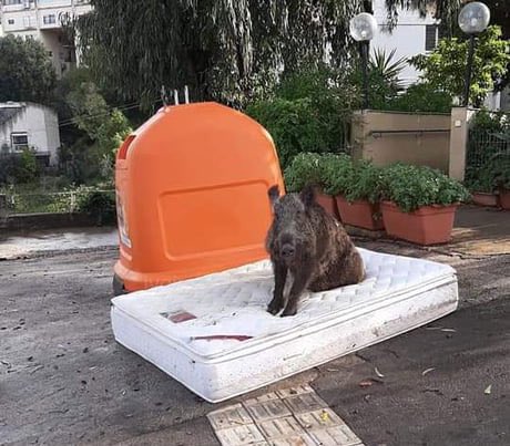 예고하고 자취방 방문한 엄마의 시점