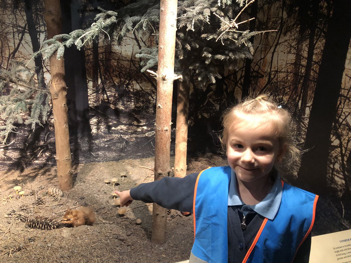 STBPrm's tweet photo. An awesome day at the museum - we had fun and learnt lots of things we did know already #ethicallyinformedcitizen #stb23 https://t.co/gEIYOsiCQN