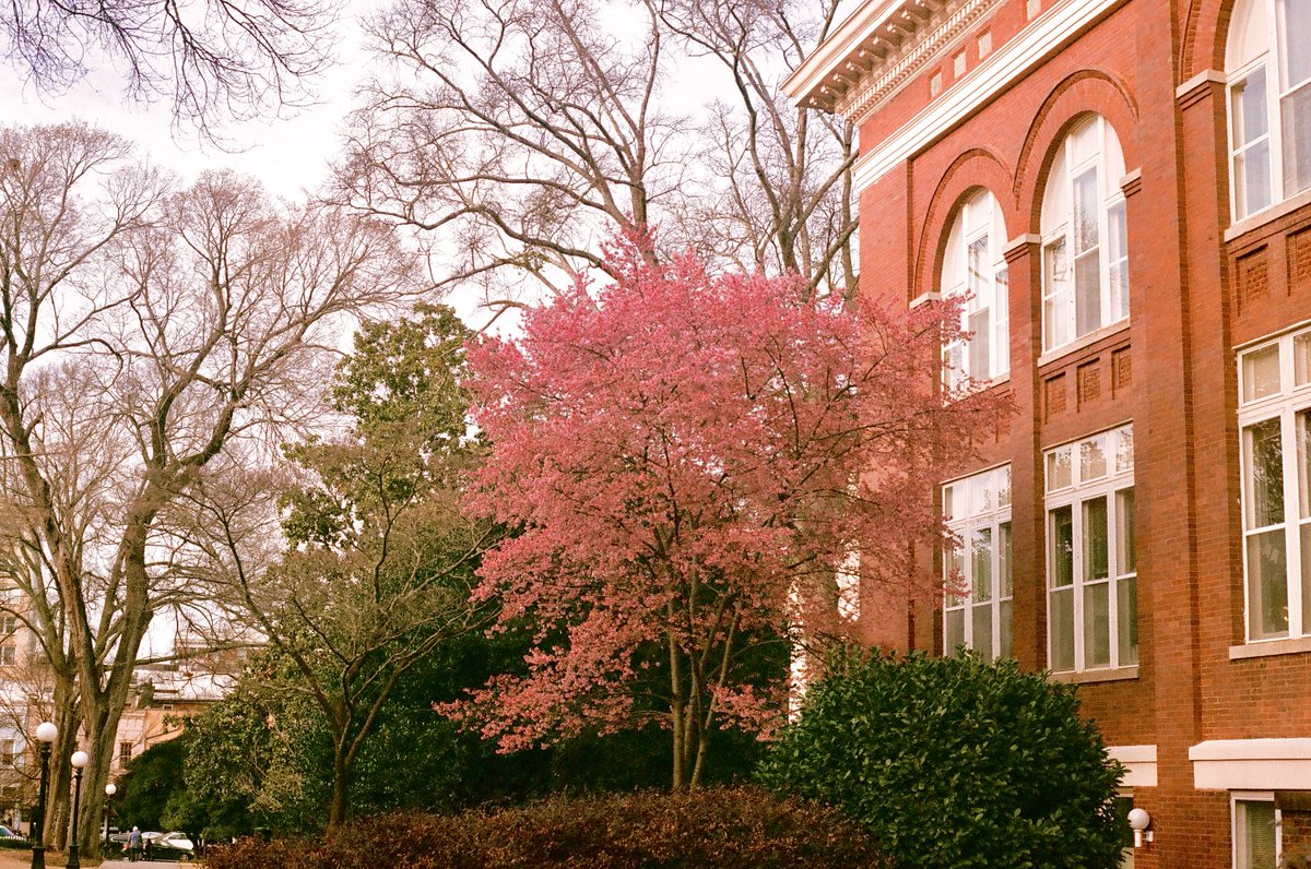 The beauty of North Campus on 35mm film through the lens of Anshika Nichani, a first-year UGA student.