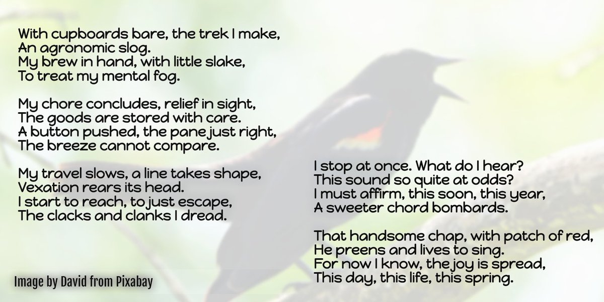 Kathleen Jae tweet media