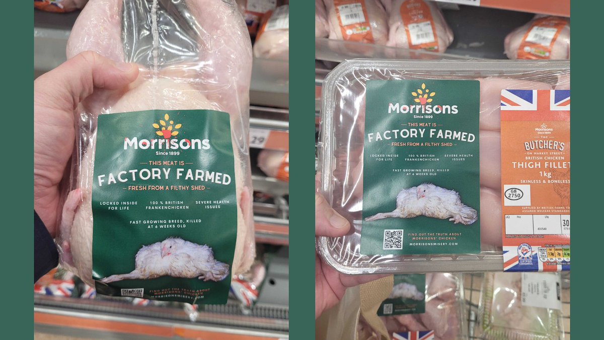 Is Morrisons finally telling the truth about where their chicken comes from? 🚨 

Unfortunately, not 🤷‍♀️

The new, truthful labels you can see in the photo, were attached to Morrisons' chicken by our supporters. It’s activists who are telling the truth about Morrisons' chicken 😦