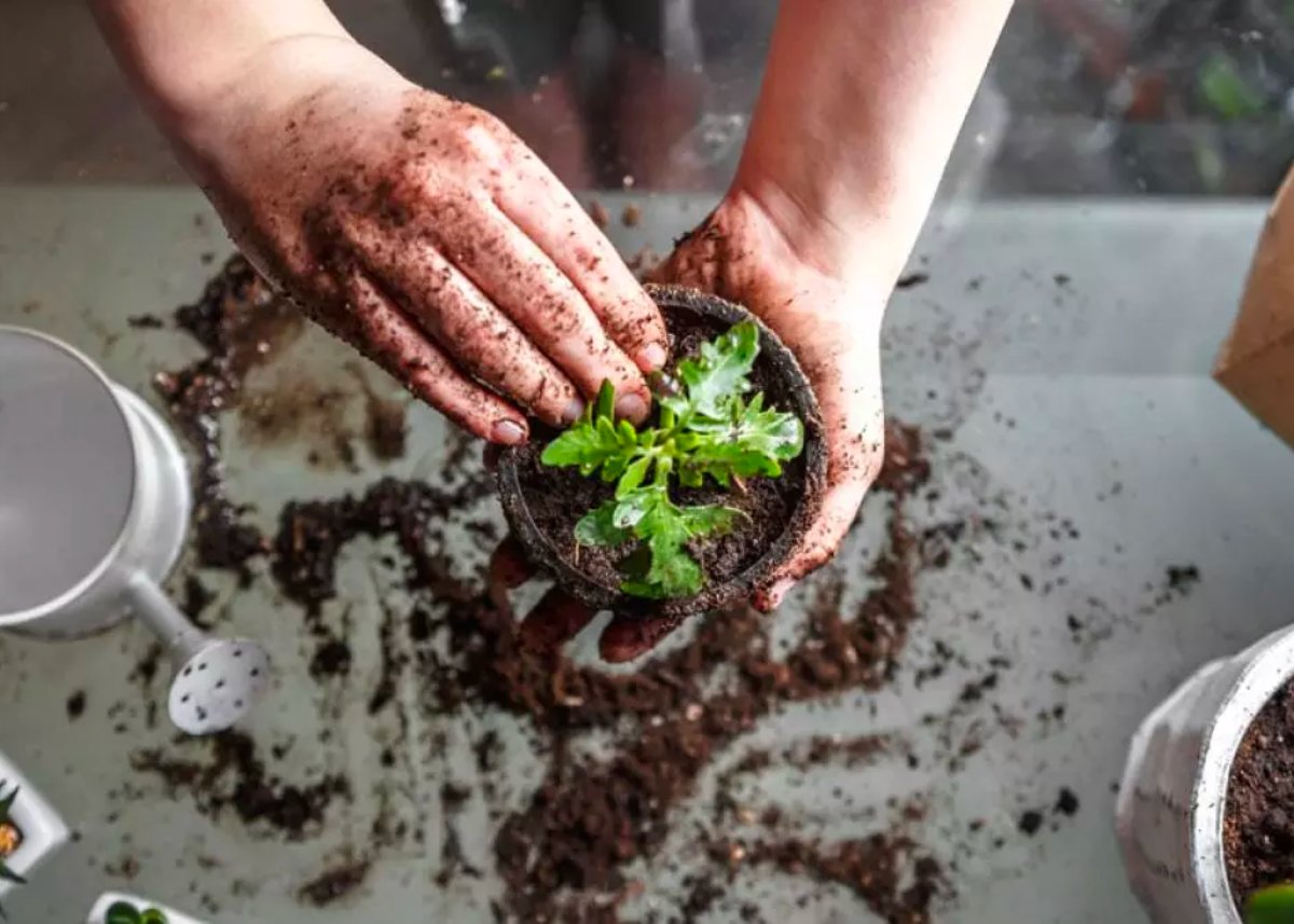 Students, faculty, and staff on the Westchester campus are invited to a Gardening Workshop on March 24! Learn how to grow plants for small spaces and start some plants to take home. fal.cn/3wOWQ