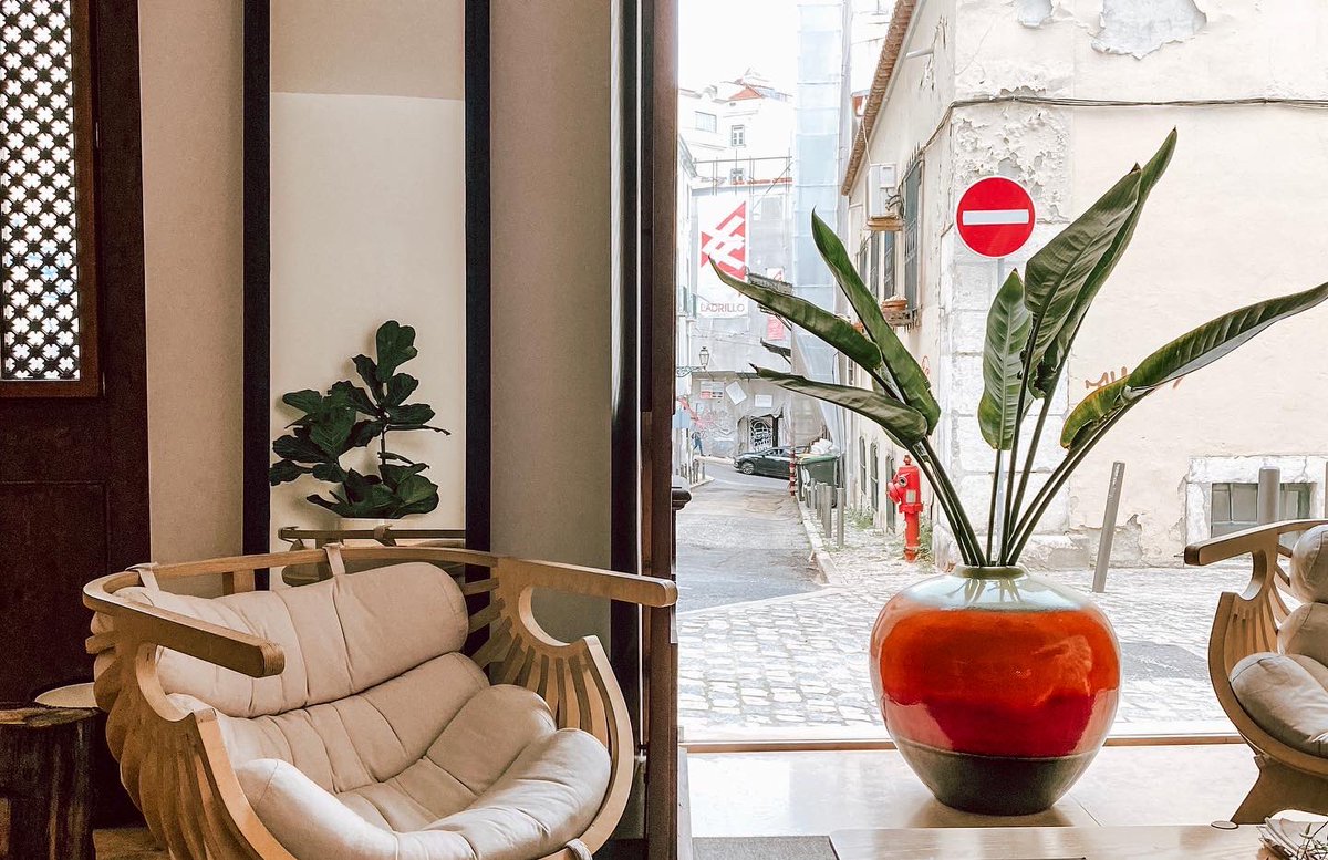 thelatebirds's tweet photo. Welcome to our #Gay Urban Resort located in the heart of #Lisbon’s historical center! 
…
Our Guesthouse design decoration combines classical freshness with contemporary look of Portuguese design! Beautiful isn’t it 😍? Book now your stay! #gayhotel
👉🏼https://t.co/oRzy6J64N6 https://t.co/aPgqF1CTW2