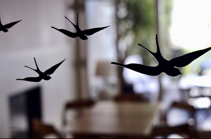 Welcome to our #Gay Urban Resort located in the heart of #Lisbon’s historical center! 
…
Our Guesthouse design decoration combines classical freshness with contemporary look of Portuguese design! Beautiful isn’t it 😍? Book now your stay! #gayhotel
👉🏼thelatebirdslisbon.com