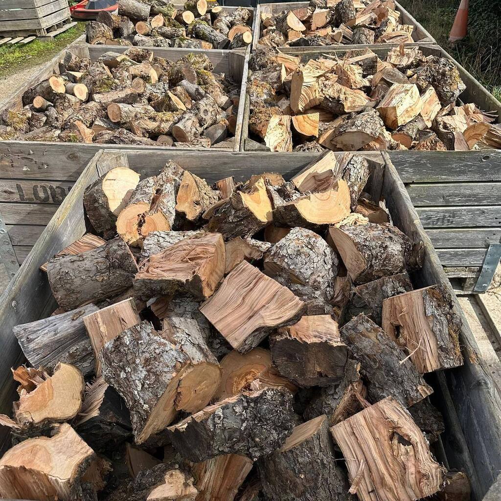 Lovely dry seasoned fire wood for sale - £75 per bin, local delivery available for a small charge 👍

#firewood #logburner #kentfirewood #maidstone #boughtonmonchelsea #linton #kent #coxheath #eastfarleigh #westfarleigh #loosevalley instagr.am/p/CqIqubxsfMg/