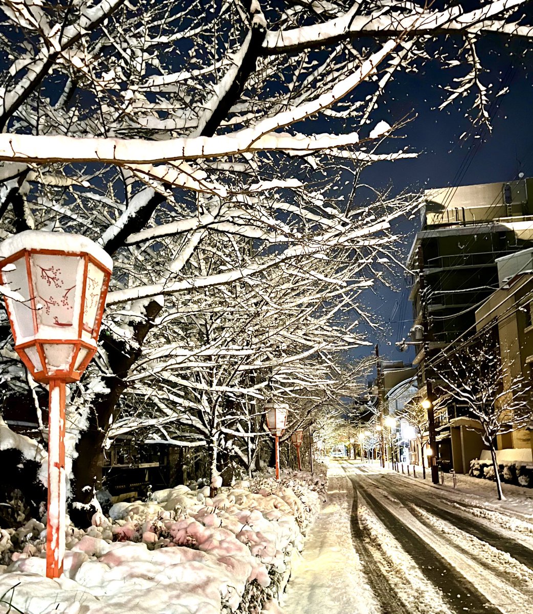kamogawayuka's tweet photo. This place where the cherry blossoms are blooming now was a snowy landscape two months ago🌸⛄️

今、桜が咲いているこの場所は、2ヶ月前は雪景色でした https://t.co/zTPKgUWQMv