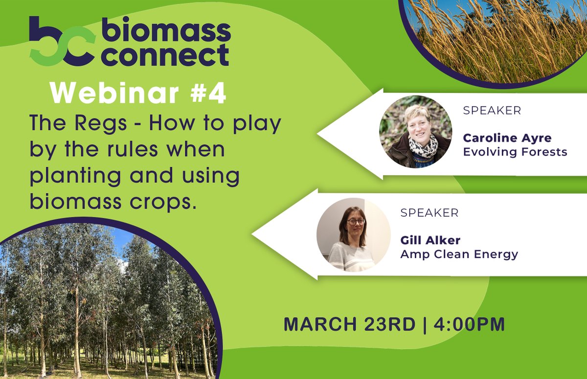 BiomassConnect's tweet image. #BiomassConnect #Webinar 4 is due to start soon (4:00pm today). Don't miss out!
Join here: loom.ly/a_oPK-c