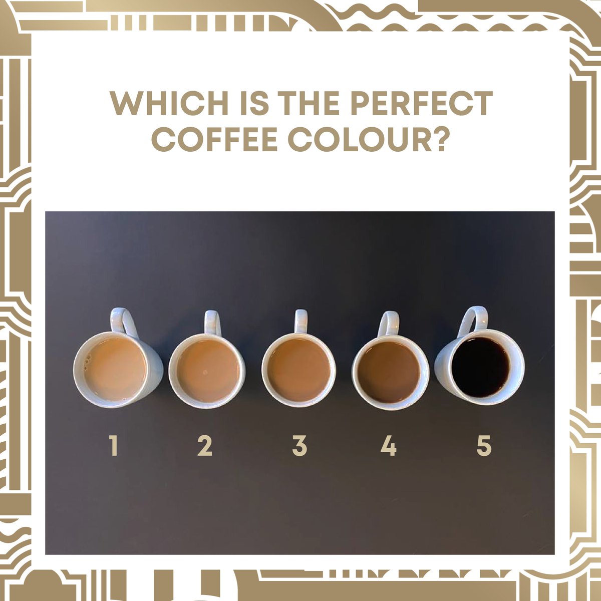 LyonsCoffee tweet media