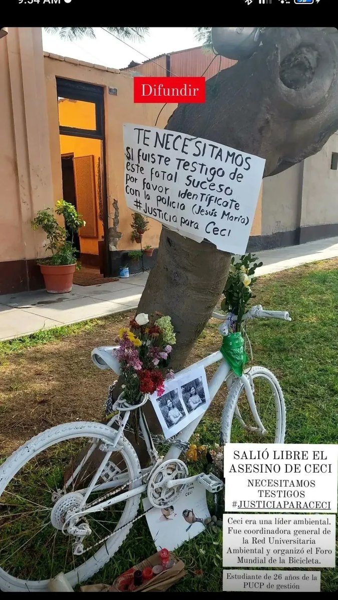 Cristinandr34's tweet photo. Si fuiste testigo de la muerte de Ceci por favor ayúdanos a que se haga justicia. Vecinos de la Av. 6 de agosto pedimos su apoyo dando declaraciones o vídeos o imágenes si tuvieran. Difundir. #JusticiaparaCeci #Niunaciclistamenos https://t.co/tbXUg636ON