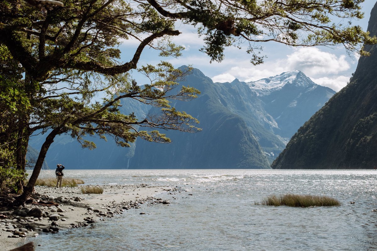 AFSylvest's tweet photo. New Zealand March 2023 #NewZealand https://t.co/YhARbqs9Md