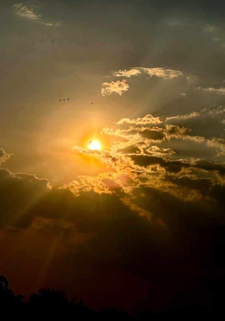 ARKTHEREIGN's tweet photo. I experienced magical moments during a conversation with Mother Nature from my terrace.
#ViewFromMyTerrace #Sunset #SunsetTimeHealing https://t.co/OGPOOukMZp