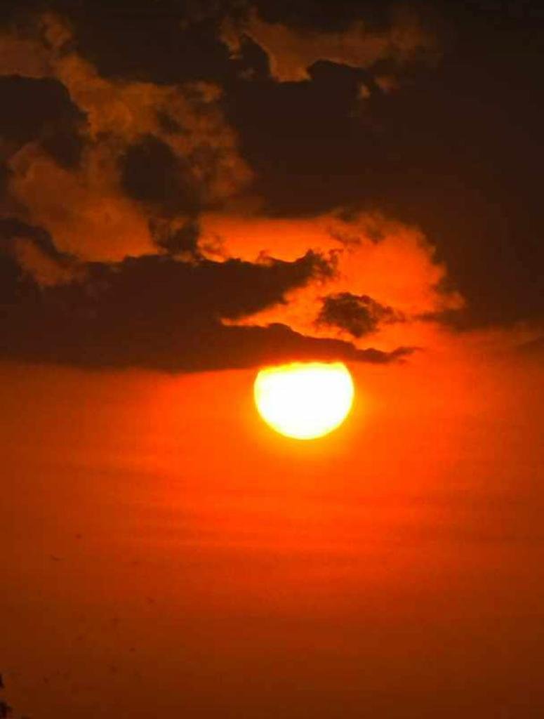 ARKTHEREIGN's tweet photo. I experienced magical moments during a conversation with Mother Nature from my terrace.
#ViewFromMyTerrace #Sunset #SunsetTimeHealing https://t.co/OGPOOukMZp
