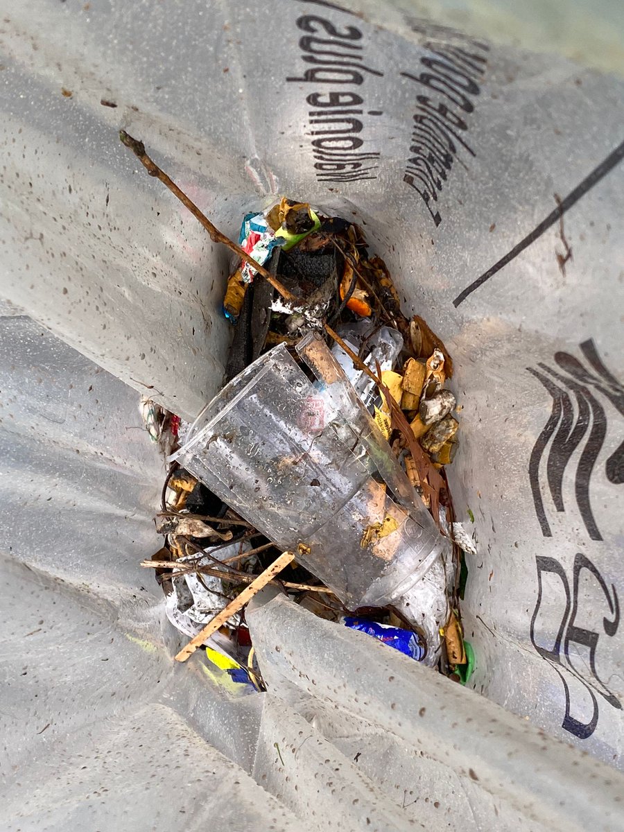 MaisonLosseau's tweet photo. 🌎 Aujourd'hui, notre équipe était mobilisée dans le cadre de la 9e édition du #GrandNettoyage organisée par #Bewapp ! Notre #team a donc arpenté les rues environnantes de notre institution pour traquer le moindre #déchet par terre ! 😎
Bravo à eux ! 👏
Avec @provincehainaut https://t.co/MqbbDKDSnS