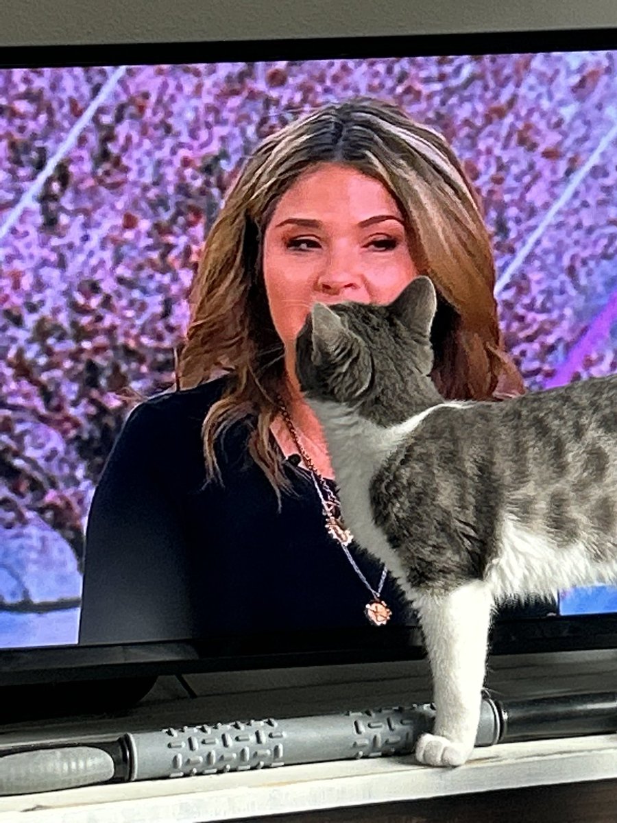 ilikethistoni's tweet photo. Rosie wanted to know what was happening with @JennaBushHager’s hair today!  #beforetheponytail @HodaAndJenna https://t.co/AyFA3Y4LlU
