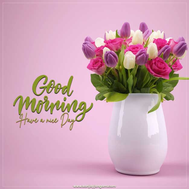 dicky_098's tweet image. 