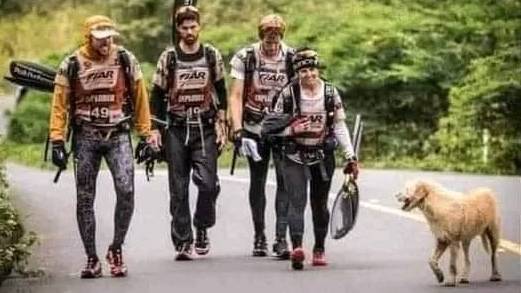 A stray dog followed a Swedish racing team throughout their 430 mile endurance race in Ecuador. He went through jungles in the Amazon and swam across a river with them. All because one of the team had given him a meatball.❤️🐶❤️