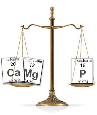 Katrixaban's tweet image. CLINICAL CHEMISTRY 1 
• Extended Electrolyes (Calcium, Magnesium, Phosphate) 
— a thread