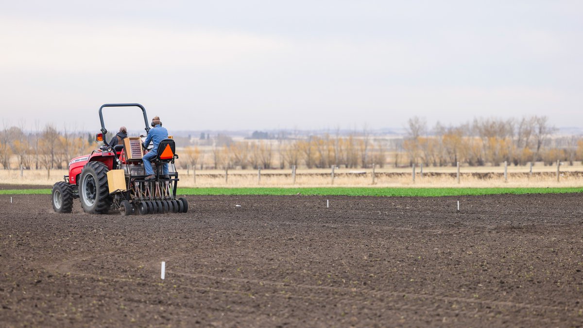 Tomorrow is the deadline to apply for this year's #OldsCollege FCDC variety licensing! Head to OldsCollege.ca/FCDC to apply for exclusive production &amp; marketing rights to the 2023 malting barley, winter and spring triticale varieties.
#CdnAg #Barley #Plant23 #OCSmartFarm