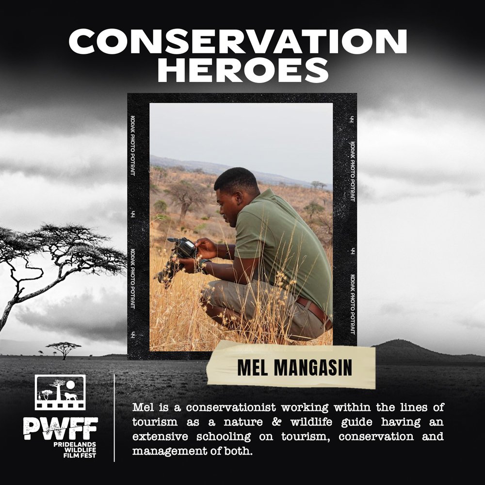 Learn more about Mel's work at @ mel_wildlifeconservation on Instagram and Mel Mangasin on Facebook! 
#pwff2023 #africarising #africasfirstwildlifefilmfestival #africanstorytellers #tellingthestoriesofwildafrica  #shiftingnarratives #wearethechangewevebeenwaitingfor