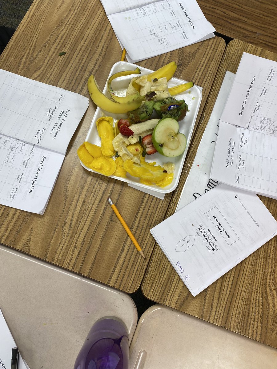cyndilou00's tweet photo. Seed investigation in Science today. @MarshvilleESNC https://t.co/KRnqK8uHtS
