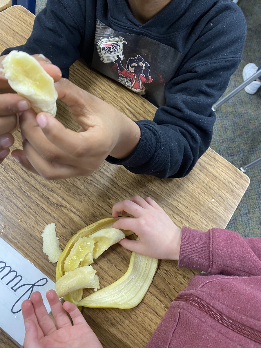 cyndilou00's tweet photo. Seed investigation in Science today. @MarshvilleESNC https://t.co/KRnqK8uHtS