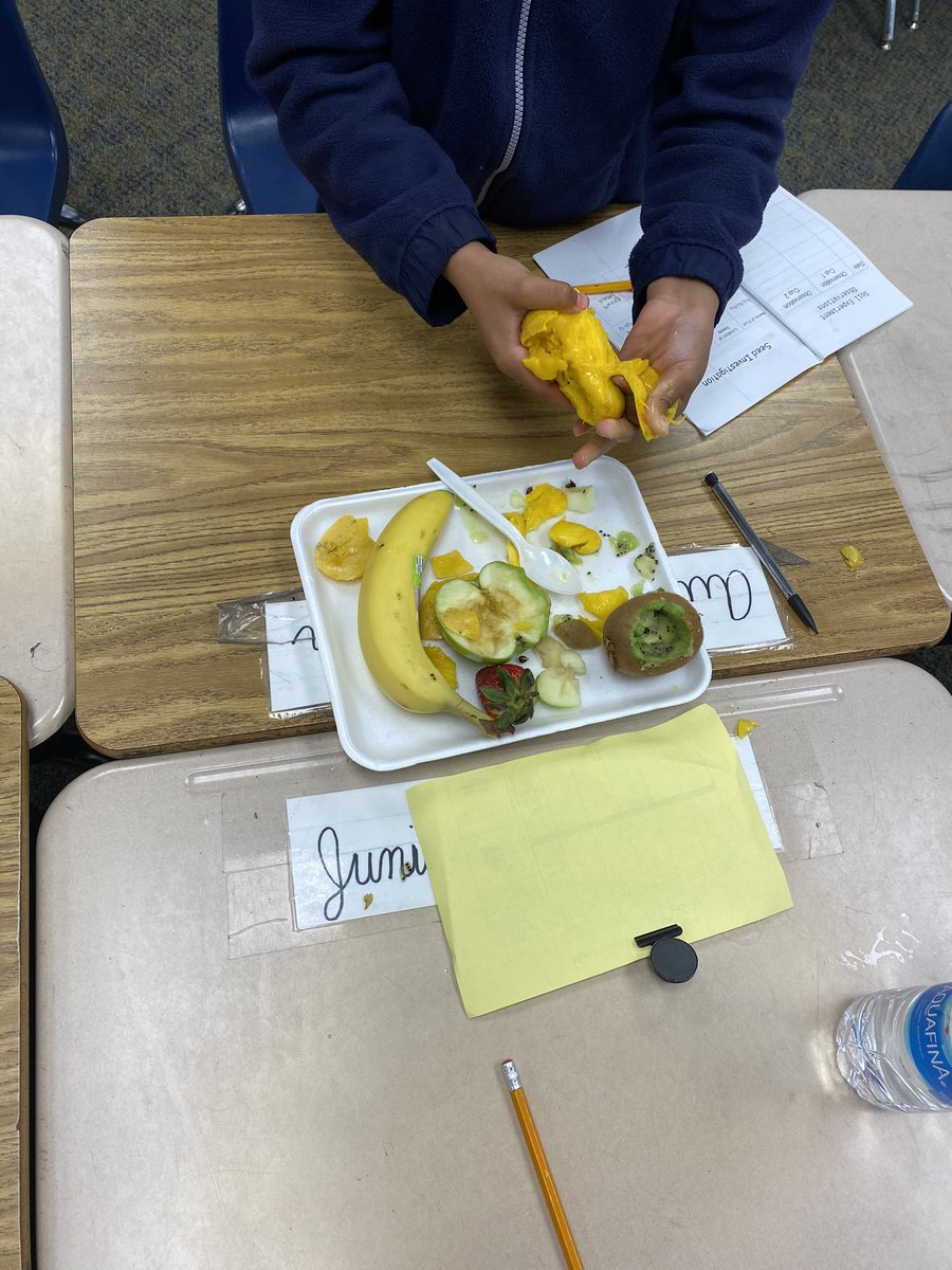 cyndilou00's tweet photo. Seed investigation in Science today. @MarshvilleESNC https://t.co/KRnqK8uHtS