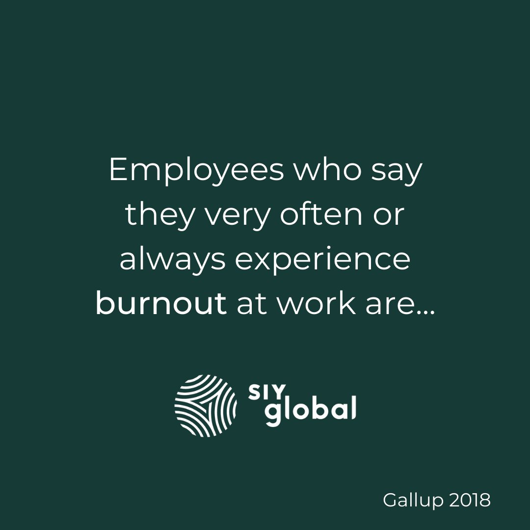 SIY Global tweet media