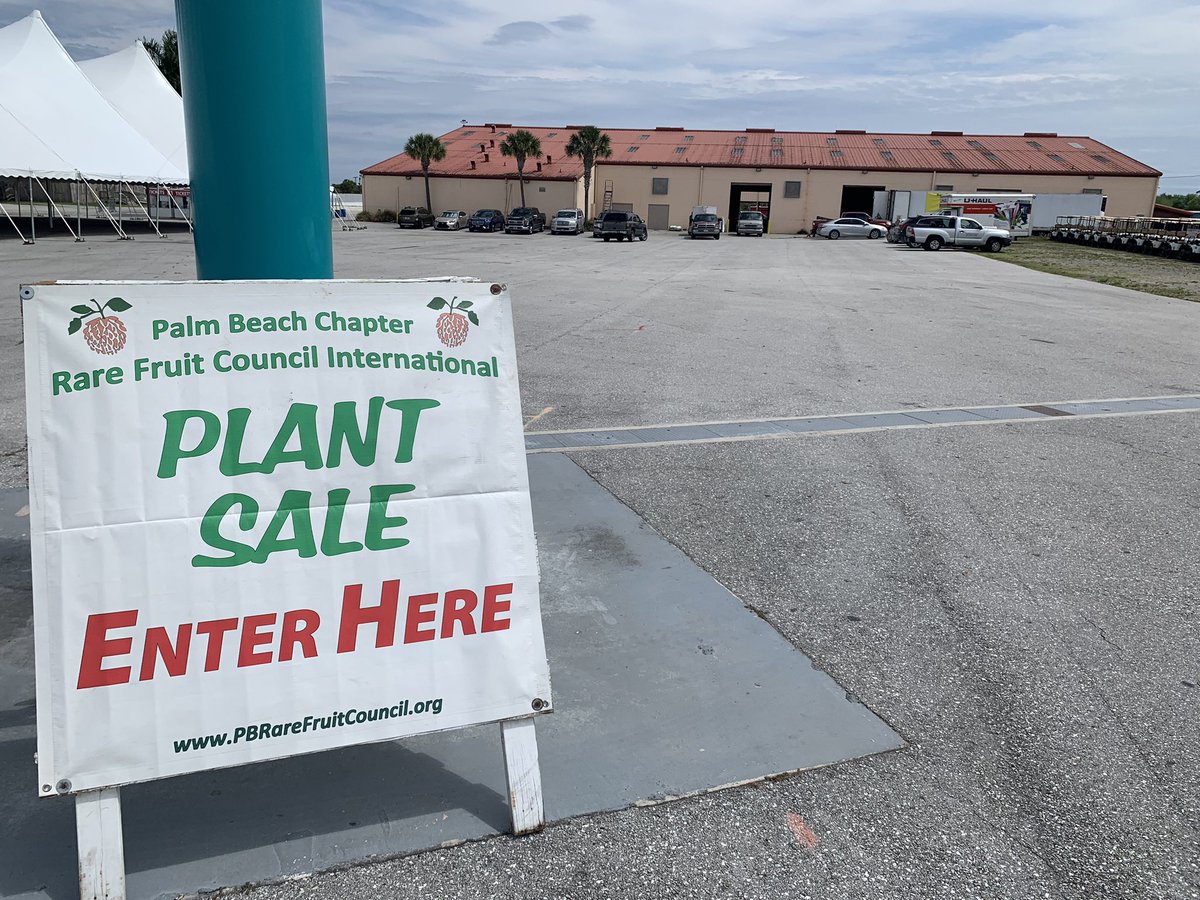 RareFruit_PB's tweet image. If you’ve got any gardening questions don’t hesitate to find one of these guys at the March 25th Sale and ask away. 
The Rare Fruit Clubs main mission is to educate and to instill an appreciation of growing.

#rarefruit #rarefruittrees #rarefruits #gardening #plantsale